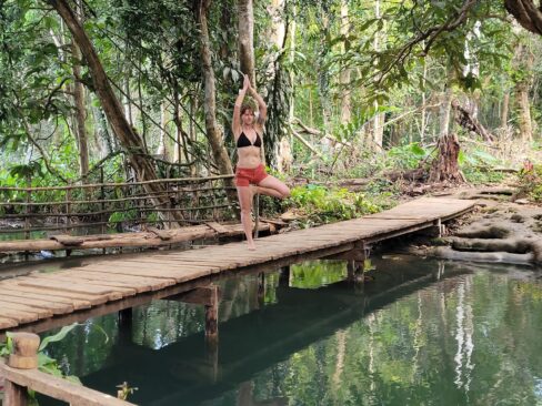 Tree pose in Laos