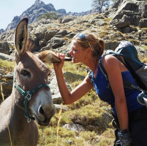 donkey whisperer in corsica