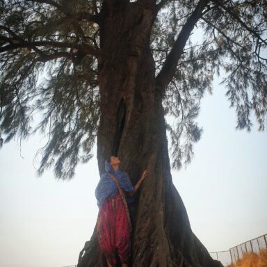 back to the roots in india