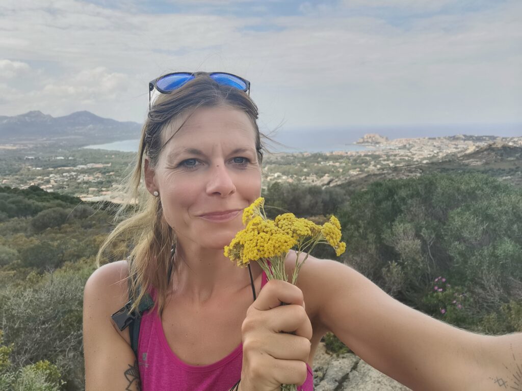 immortelle à calvi