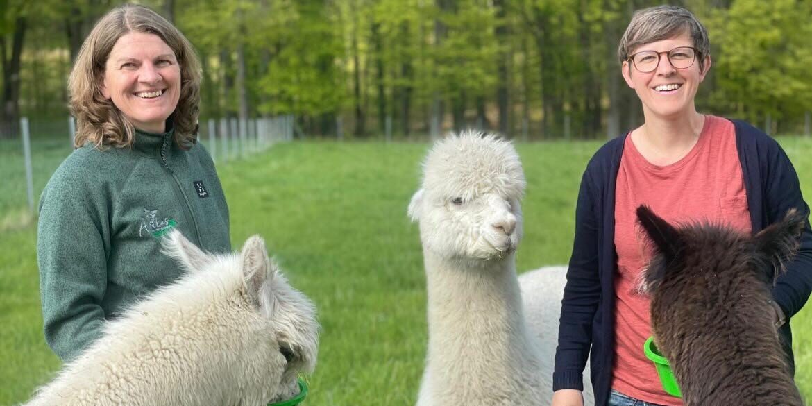 Alpaka am Foehrenbach