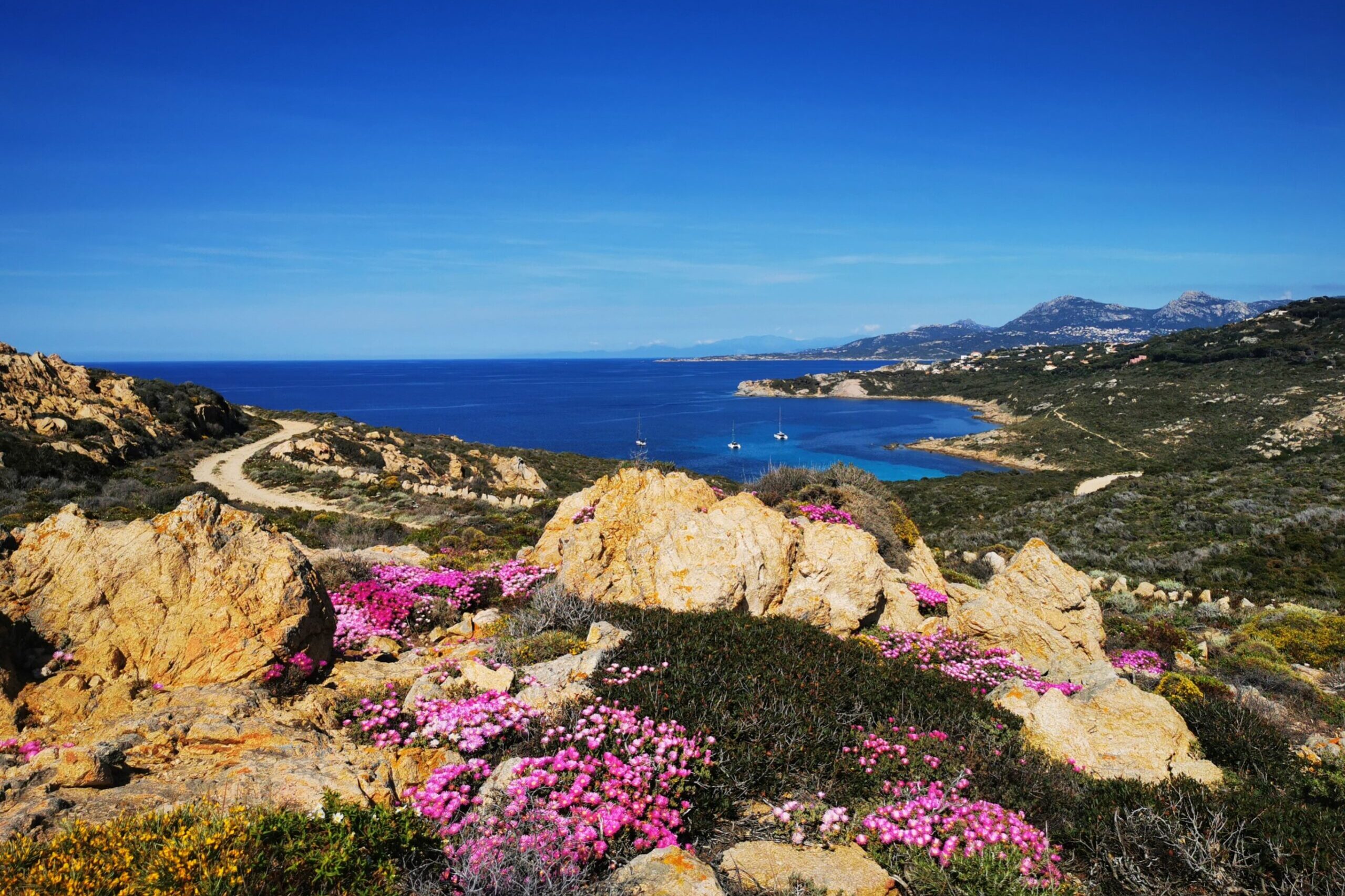 buntes, duftendes Kosika